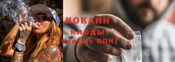 твердый Лабытнанги