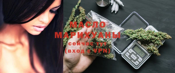 индика Ладушкин