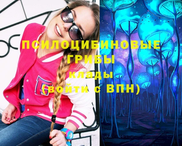 индика Ладушкин