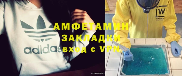 индика Ладушкин