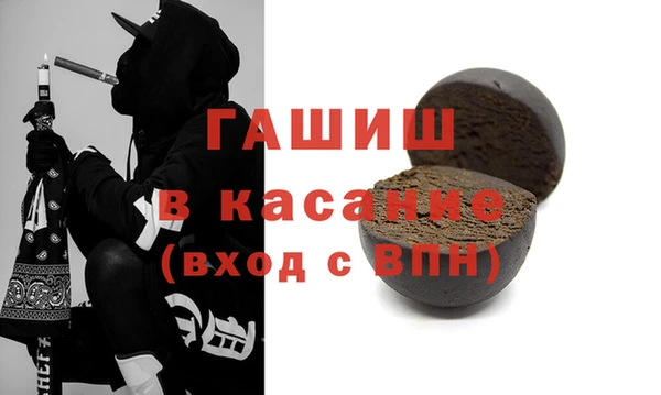 индика Ладушкин