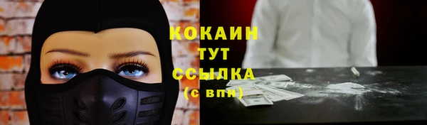индика Ладушкин