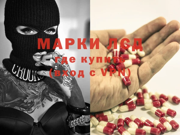 индика Ладушкин