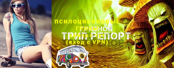 индика Ладушкин