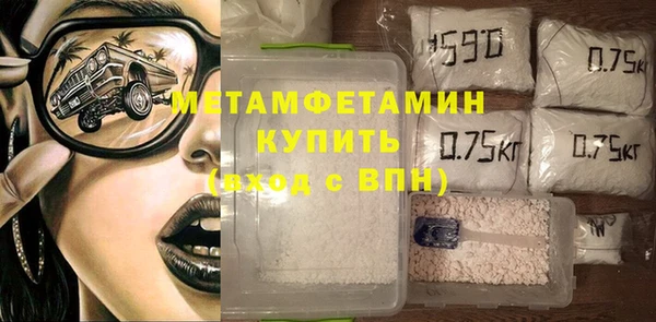 индика Ладушкин