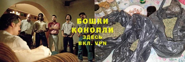 индика Ладушкин