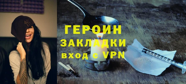 индика Ладушкин