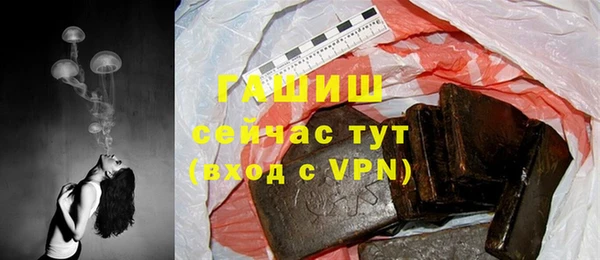 индика Ладушкин