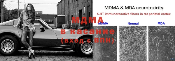 индика Ладушкин