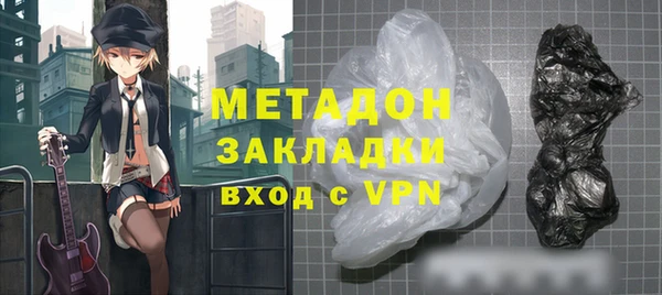 индика Ладушкин