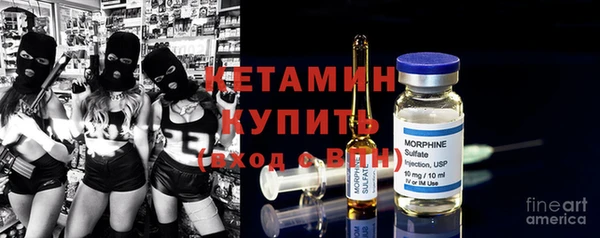 индика Ладушкин
