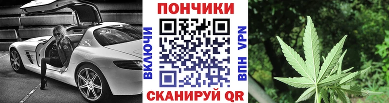 купить   Спас-Клепики  даркнет состав  Бошки марихуана сатива 
